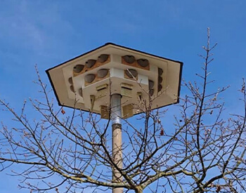 Ein großes Schwalbenhaus zum Nisten hinter einem kahlen Baum vor strahlend blauem Himmel